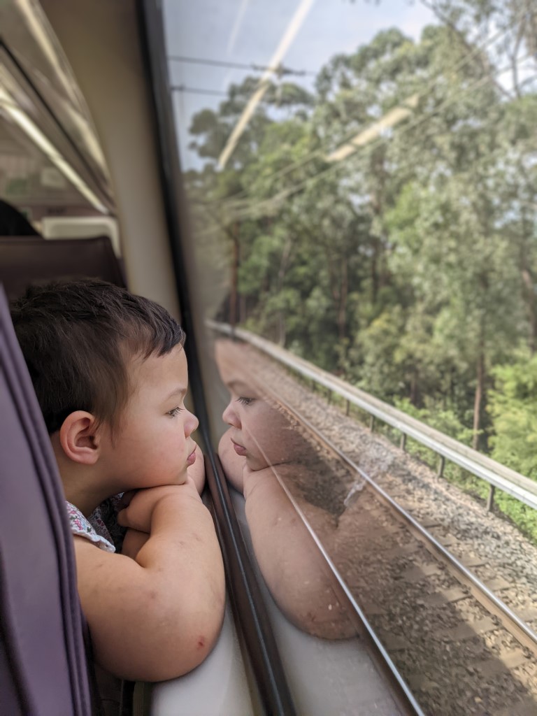 Child on a train looking out of the window